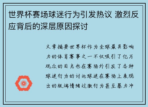 世界杯赛场球迷行为引发热议 激烈反应背后的深层原因探讨