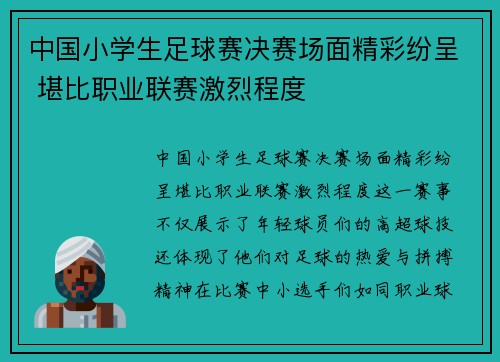 中国小学生足球赛决赛场面精彩纷呈 堪比职业联赛激烈程度